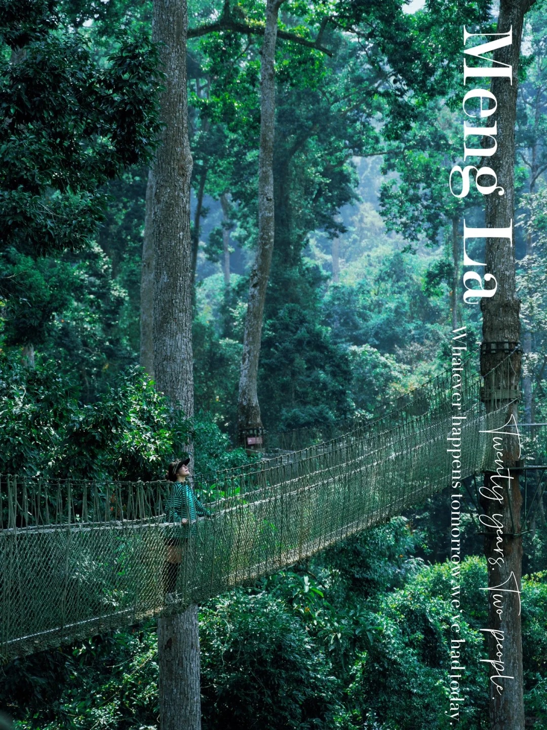 西双版纳·小众旅行线路探秘热带雨林望天树